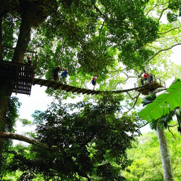 Ziplines in Phuket