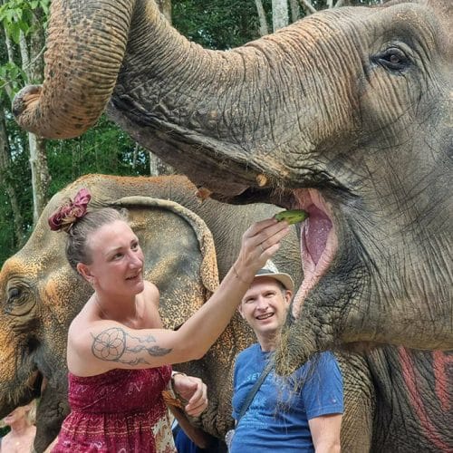 Elephant Bath and Feed Experience