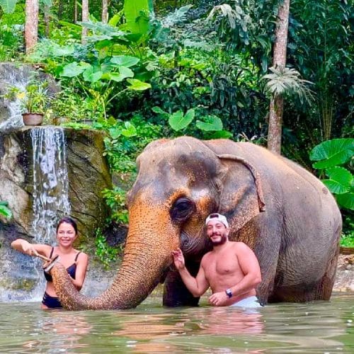 Elephant Bath and Feed Experience full day