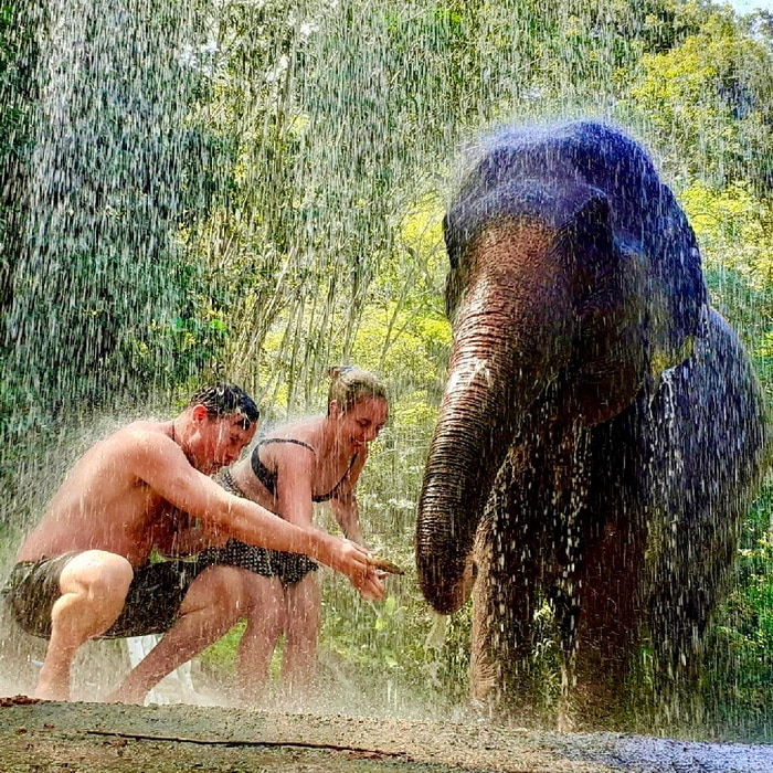 Elephant Full Day Experience with Big Buddha